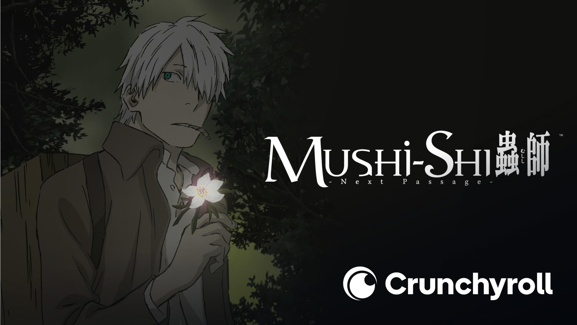 Why Mushi Shi Official Store is a Must-Visit for Anime Fans